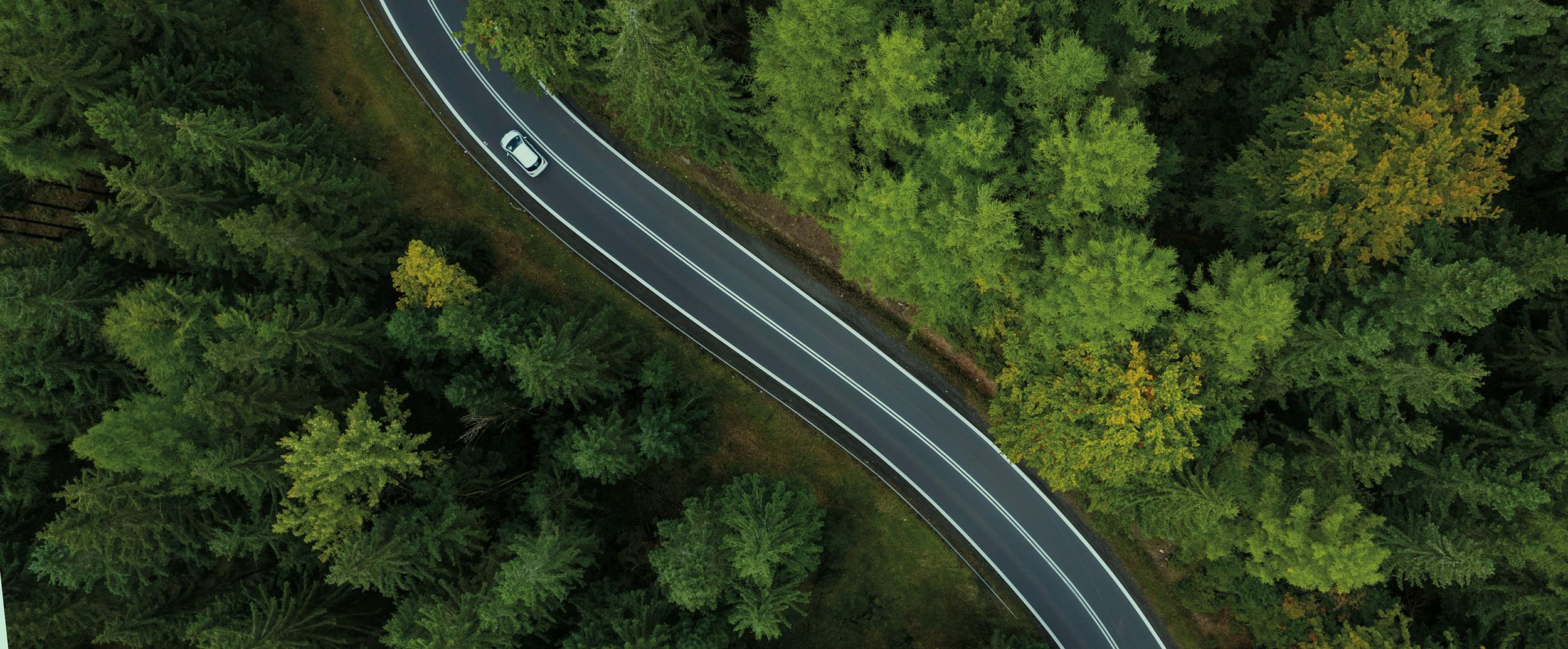 Bird's eye view of a car driving through a forest